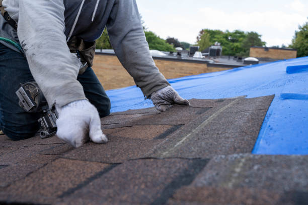 Best Residential Roofing Contractor  in Adrian, MI