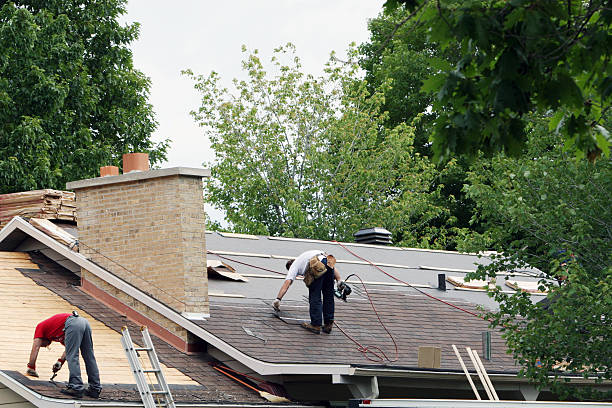 Best Residential Roof Replacement  in Adrian, MI