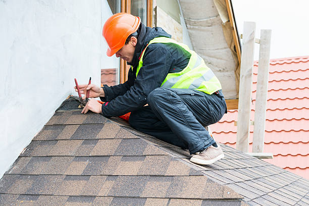 Best Flat Roof Repair Services  in Adrian, MI