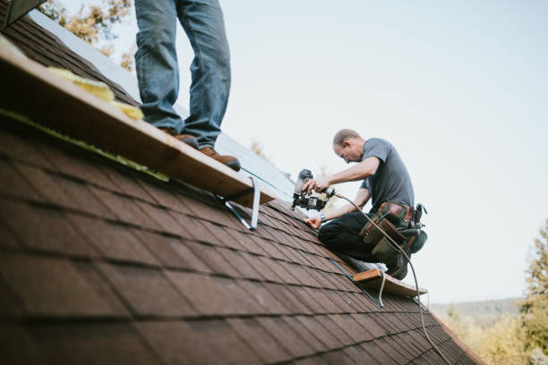 Quick and Trustworthy Emergency Roof Repair Services in Adrian, MI